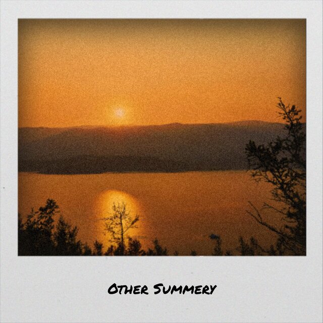 Other Summery