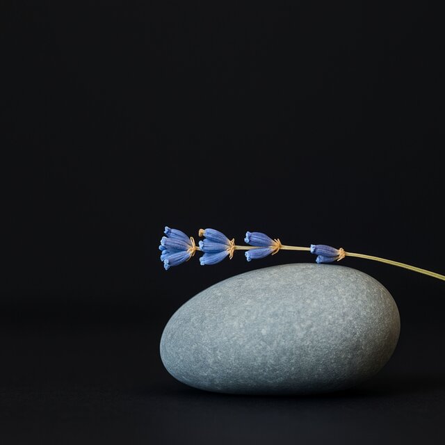 The Shape of Stillness