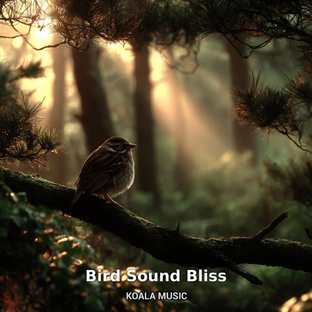Bird Sound Bliss