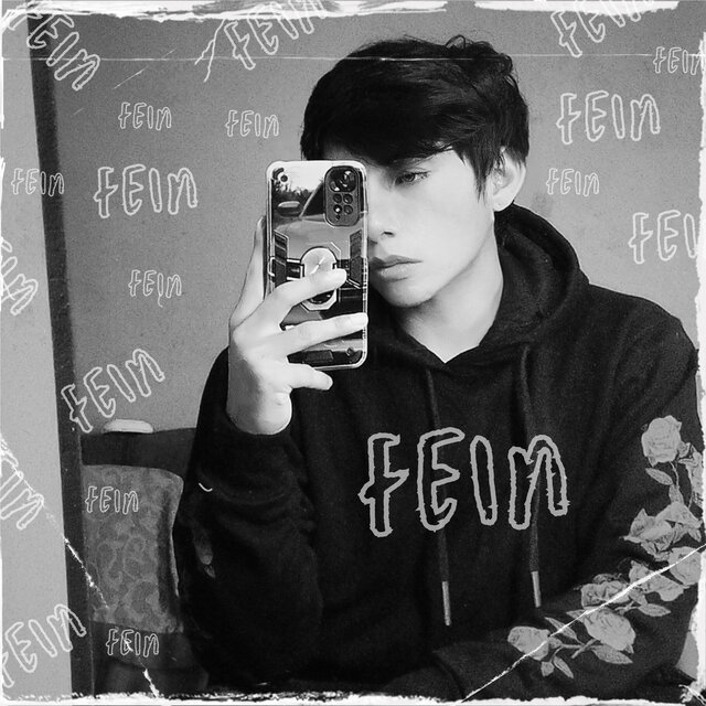 Fein