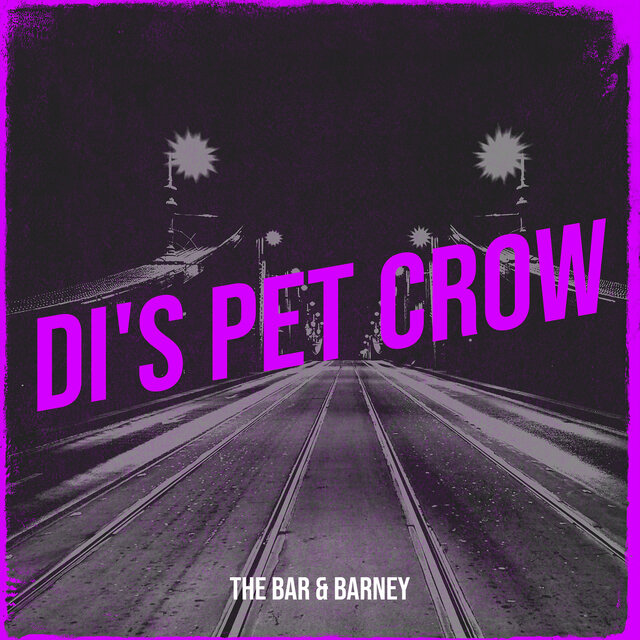 Di's Pet Crow