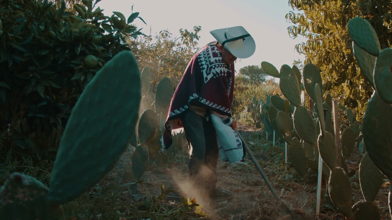 El Viejito Del Gabán