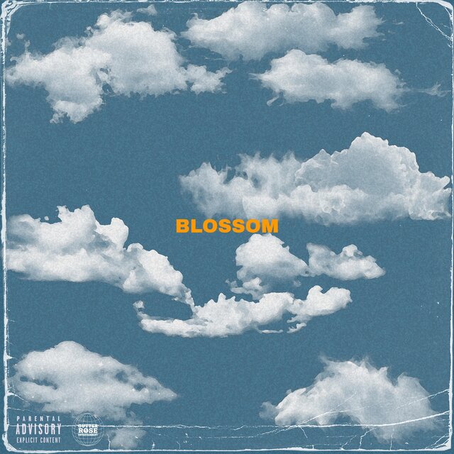 Blossom