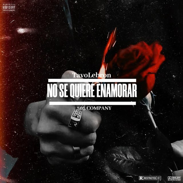 No Se Quiere Enamorar (feat. TavoLebron)
