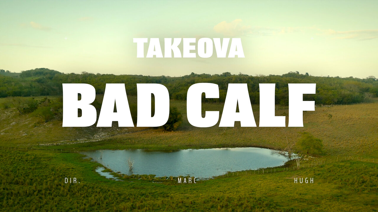 Bad Calf (Official Music Video)