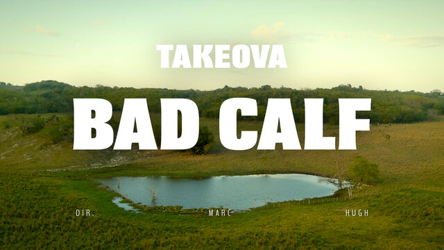 Bad Calf (Official Music Video)