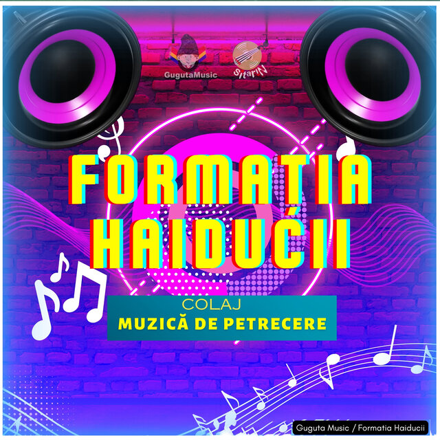 Colaj / Muzică de Petrecere (Formatia Haiducii)