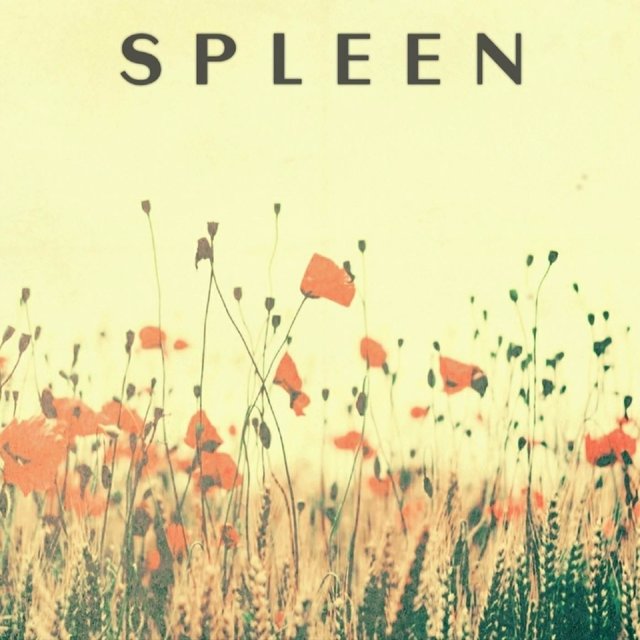 Spleen
