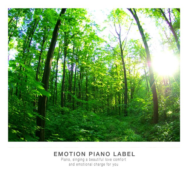 Meditation in a quiet forest New Age
