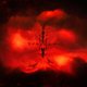 Cover art for album Vermilion by Oddland
