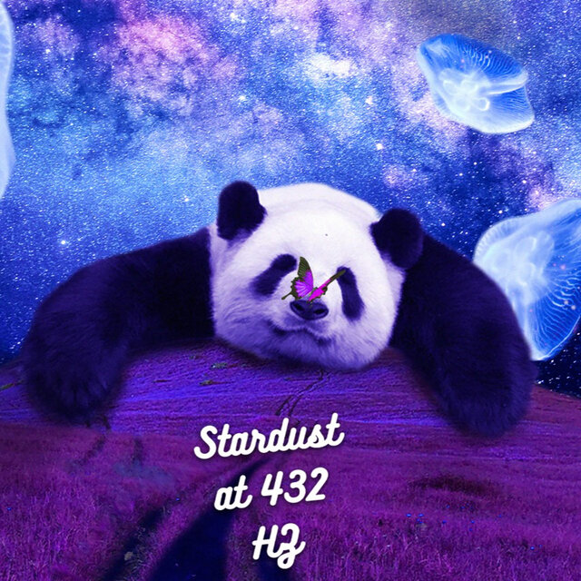 The Ballad Of The Panda