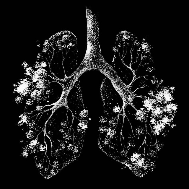 Breathe again