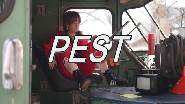 Pest