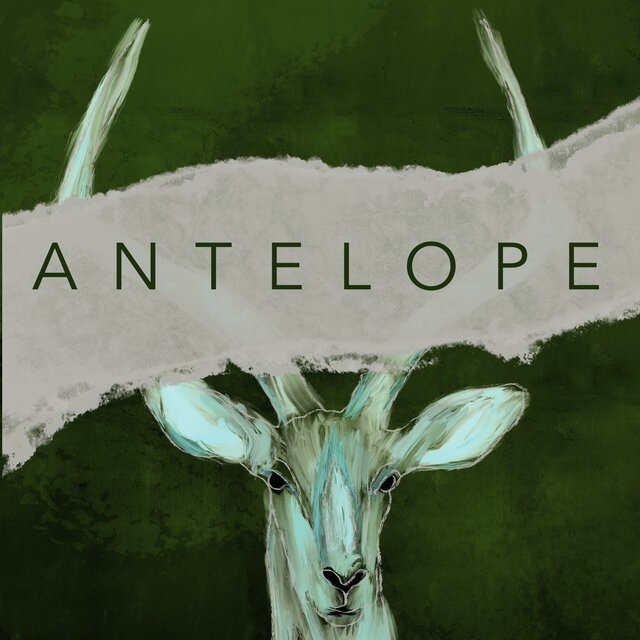 The Antelope (Radio Edit)