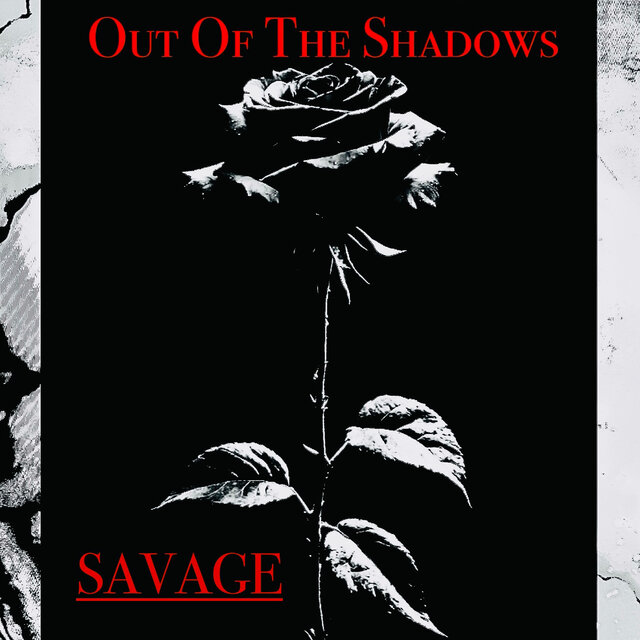 Out Of The Shadows