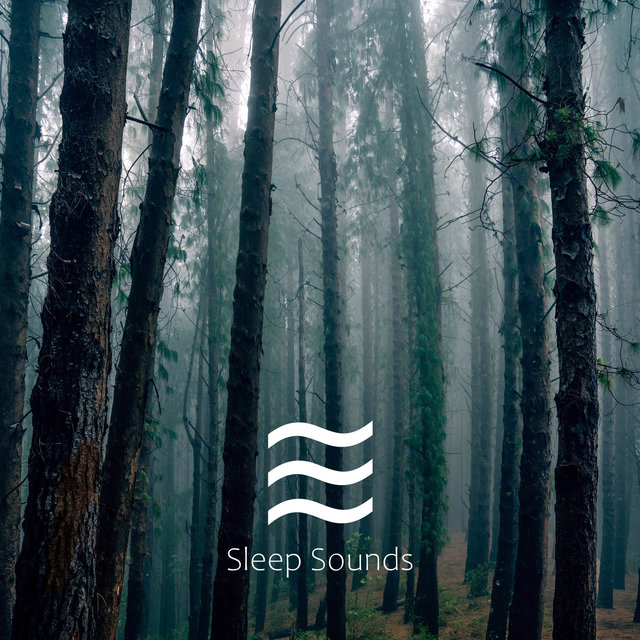 ASMR Ocean Smooth Sounds