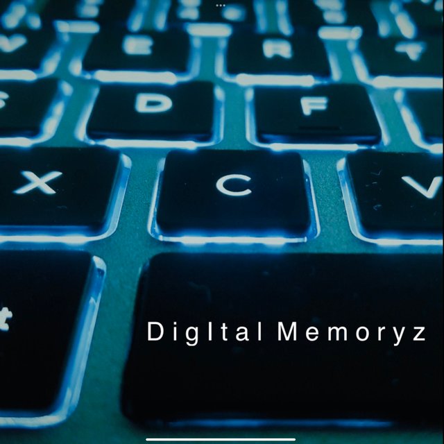 Digital Memoryz