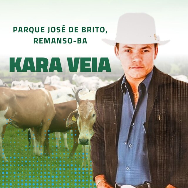 Parque José de Brito, Remanso - BA (Ao Vivo)