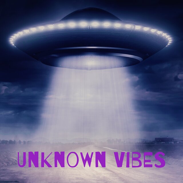 Unknown Vibes (Instrumental Version)