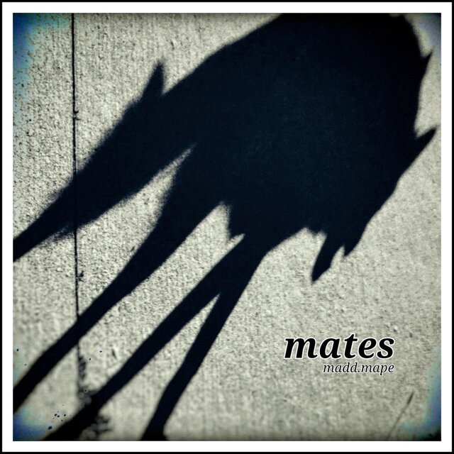 madd.mape