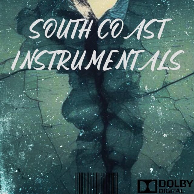 SOUTH COAST INSTRUMENTALS