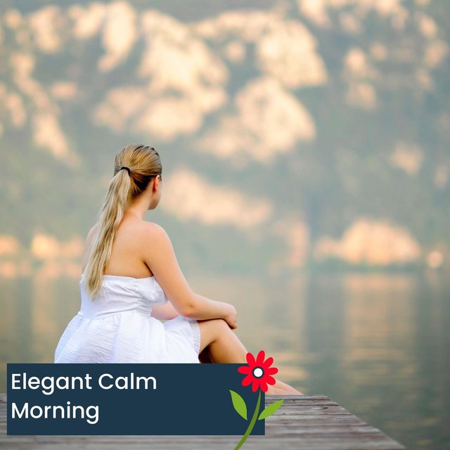 Elegant Calm Morning