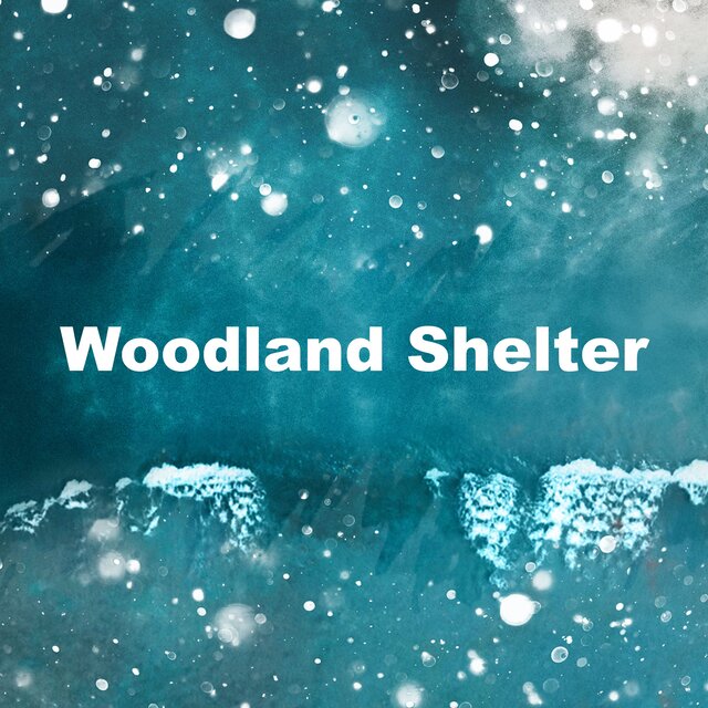 Woodland Shelter