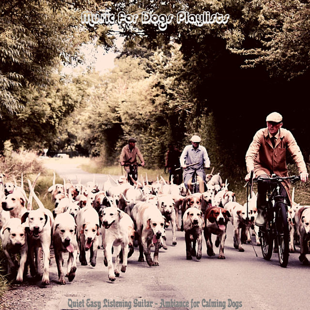 Quiet Easy Listening Guitar - Ambiance for Calming Dogs