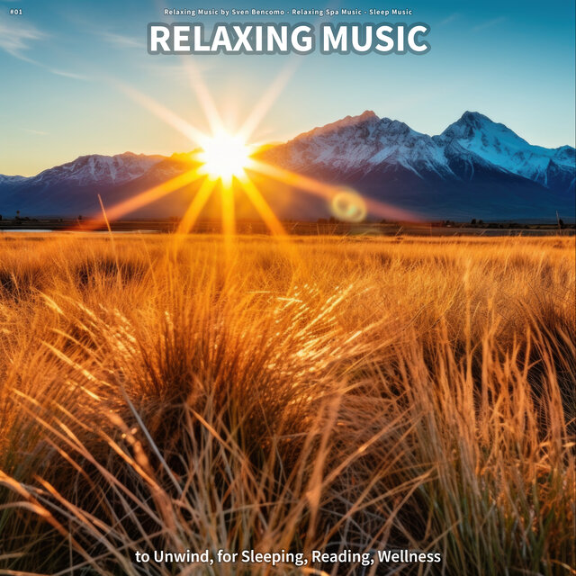 #01 Relaxing Music to Unwind, for Sleeping, Reading, Wellness