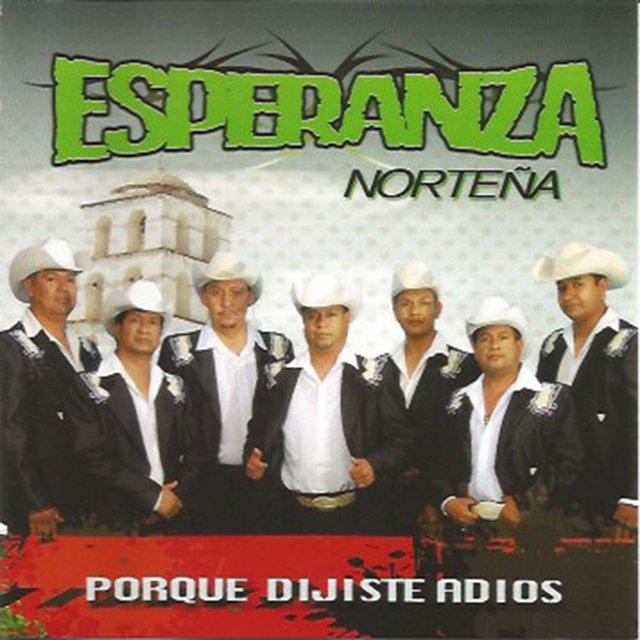Porque Dijiste Adios