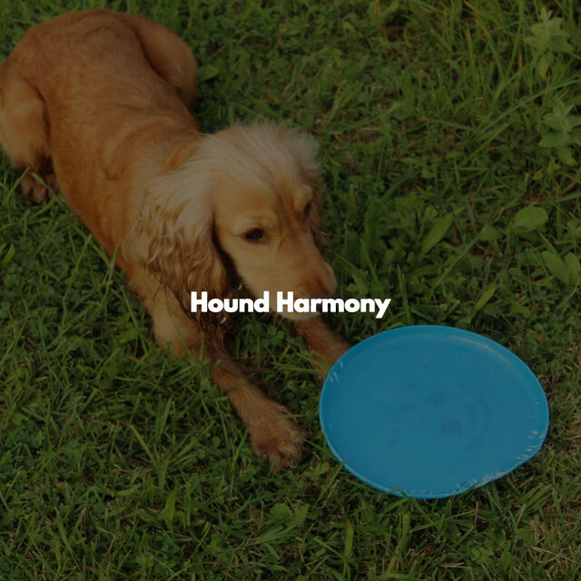 Hound Harmony