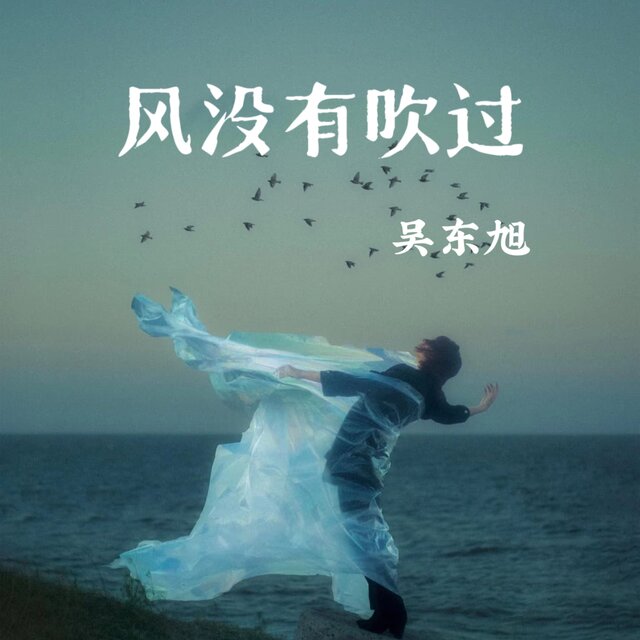 风没有吹过