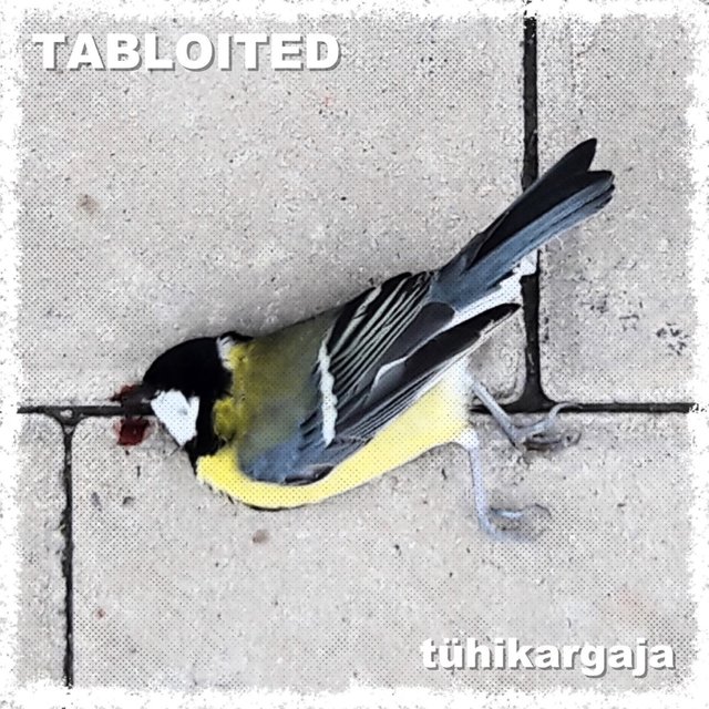 Tühikargaja