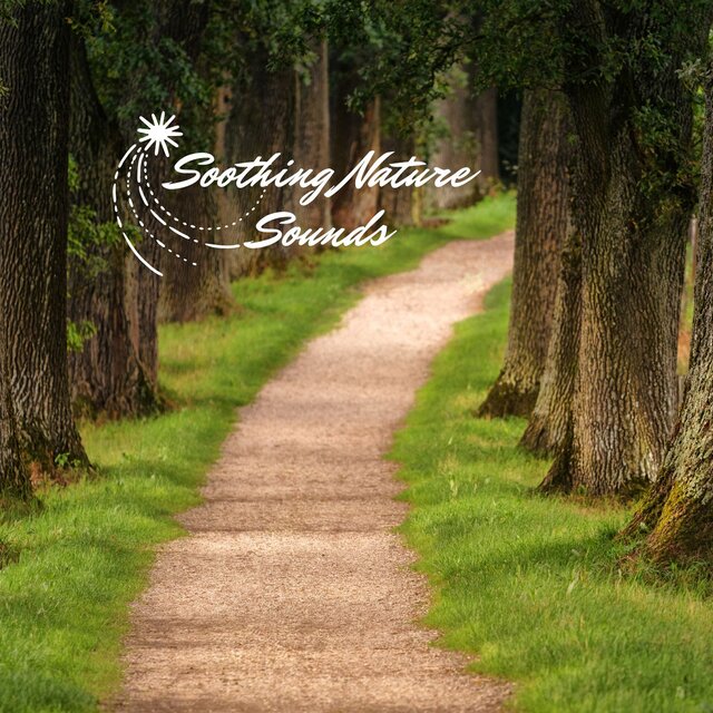 Soothing Nature Sounds