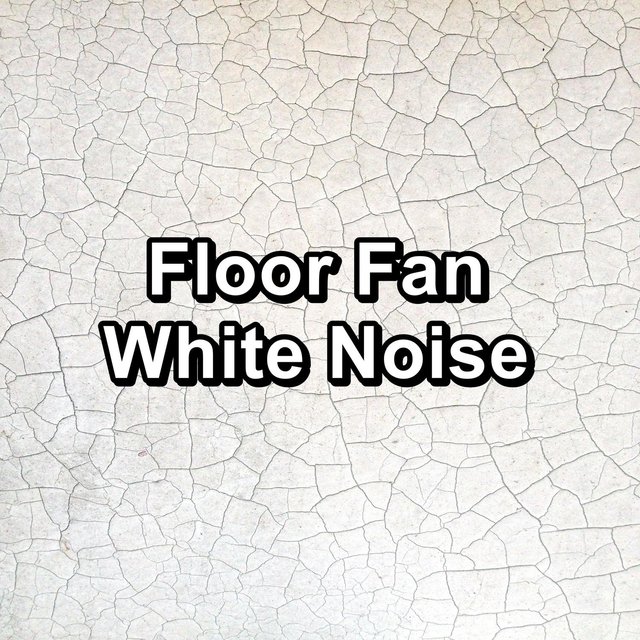 Floor Fan White Noise