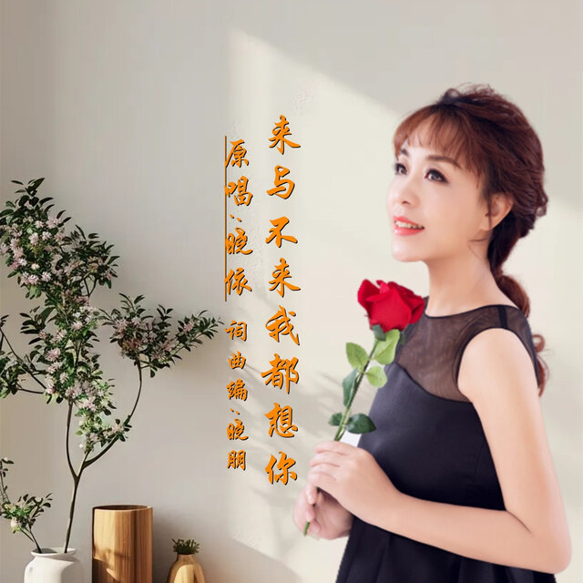 来与不来我都想你 (DJ版)