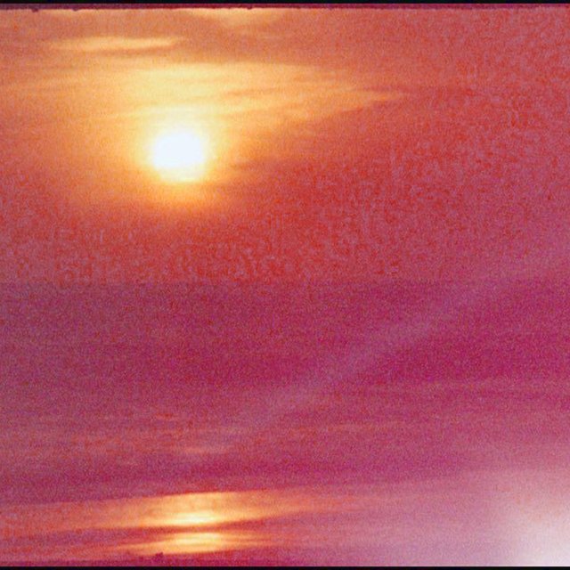 Beach Drama