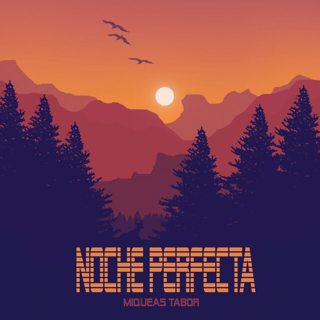 Noche Perfecta