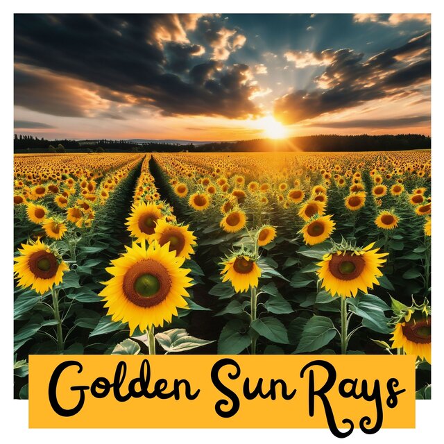 Golden Sun Rays: Relaxing Acoustic Harmony for Ultimate Joy & Tranquility