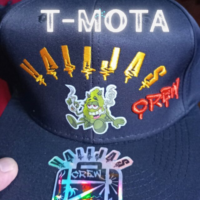 T - MOTA
