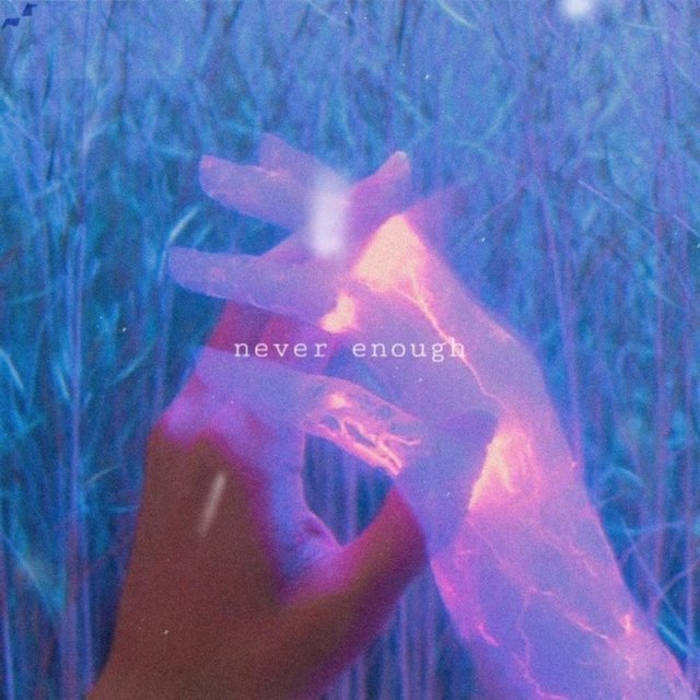 Never Enough (feat. Goondo)