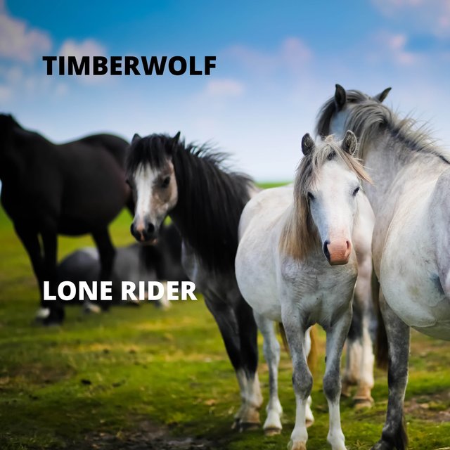 Lone Rider