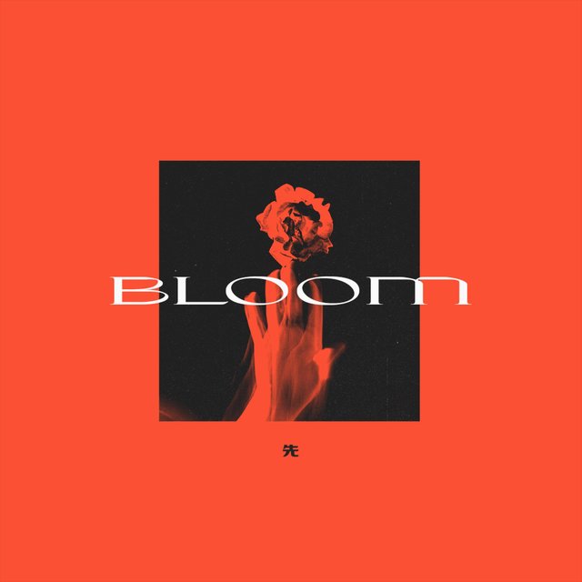 Bloom