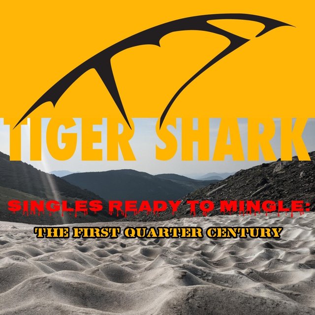 Singles Ready to Mingle: The First Quarter Century