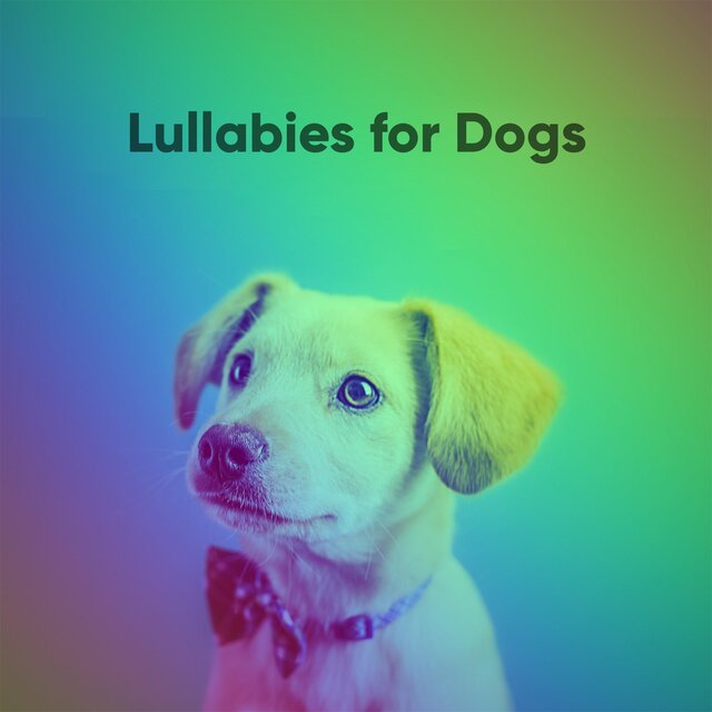 Lullabies for Dogs