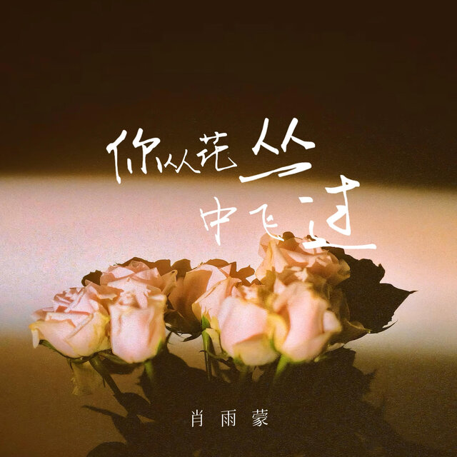 你从花丛中飞过