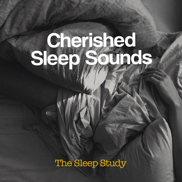 Cherished Sleep Sounds