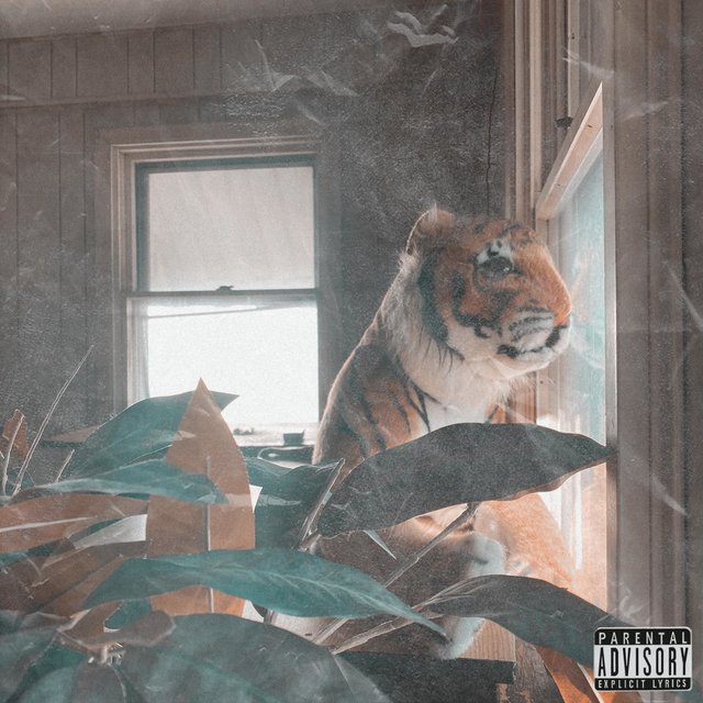 Palace Tapes, Vol. 2 (Underground Zealous)