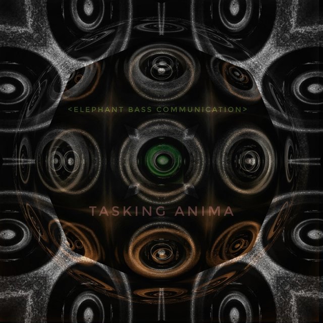 Tasking Anima