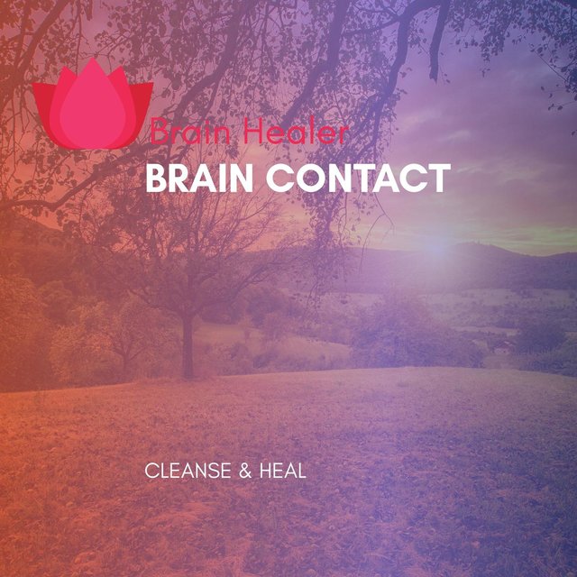 Brain Contact